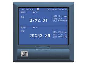 VX5000GR天然气流量积算仪